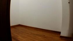 Holland Link (D10), Terrace #396009151